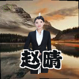 赵晴